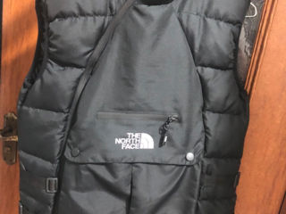 The north face