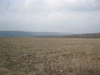 Se vinde teren 16 Hectare agricole pe traseul M1 foto 2