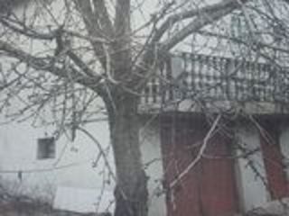 Se vinde teren cu căsuța de vacanta situat in com. Bălăbănești nu departe de riul Nistru foto 3