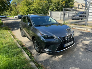 Lexus NX Series