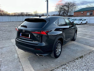 Lexus NX Series foto 5