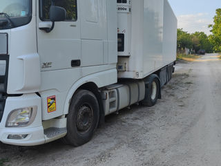 Daf Xf460