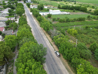 Teren pentru constructii Orhei; Lupoaica, str.Serghei Lazo foto 9