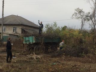 Работа с дачными участками foto 2