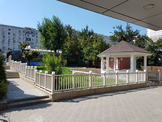 Balustrade,terase,gard din profile WPC lemn plastifiat decking (террасная доска)древесно-полимерный foto 4