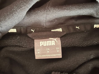 Zip Puma foto 3