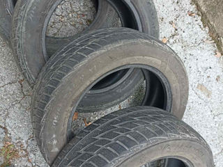 205/55r 16 Iarna foto 2