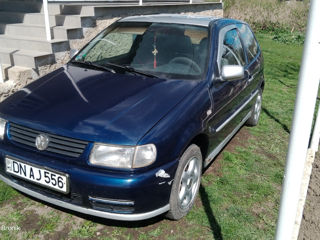 Volkswagen Polo foto 6