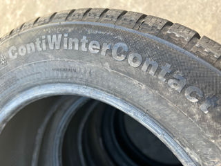 R16 215/60 Continental ContiWinterContact foto 6