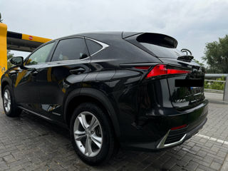 Lexus NX Series foto 5