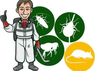 Дезинсекция , дезинфекция тараканов, клопов, моли, блох, ос, муравьев, мух, грызунов.