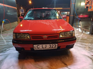 Nissan Primera foto 4