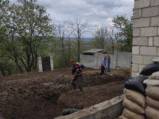 Facem curat la vila. Taiem copaci. Scoatem radacini foto 5