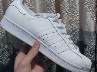 Adidas Superstar