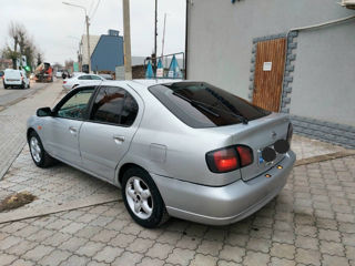 Nissan Primera foto 4