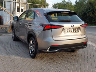 Lexus NX Series foto 4