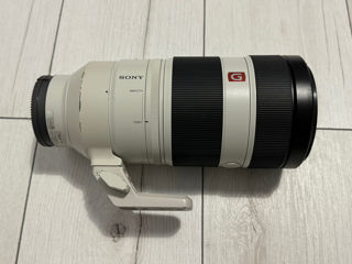 Sony 100-400mm GM foto 2