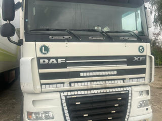 Daf