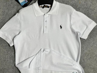 Tommy Hilfiger, Lacoste, Polo Ralph Lauren