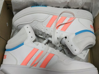 Adidas original