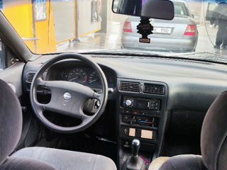 Nissan Sunny foto 6