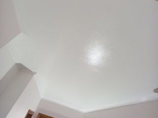 Reinoirea apartamentului, vopsirea apartamentului foto 1