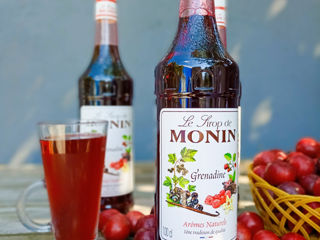 Sirop Grenadine Grenadină Rodie Monin 1l Bar Pro Livrare Moldova foto 7