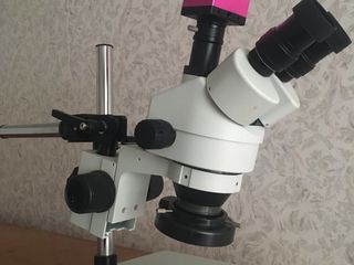 stereo microscop