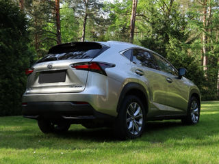 Lexus NX Series foto 7