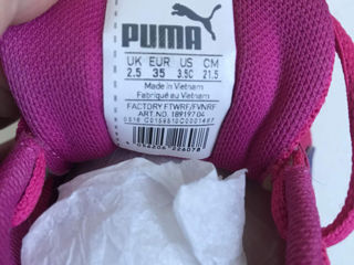 Puma 35 p. foto 2