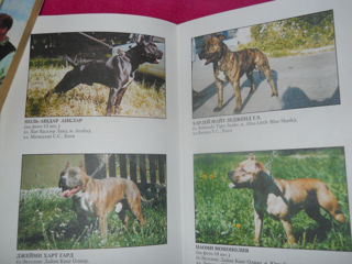 продам 2 книги : пособия для собак по 80 лей foto 6