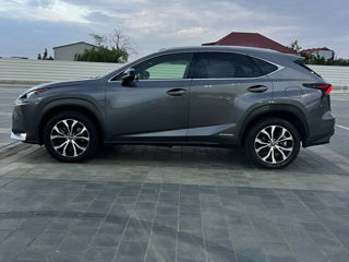 Lexus NX Series foto 5