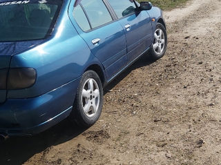 Nissan Primera foto 6