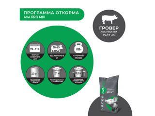 Premix pentru porci de 30-110 kg AVA PRO MIX PG/PF 3/2,5% 25 kg foto 4