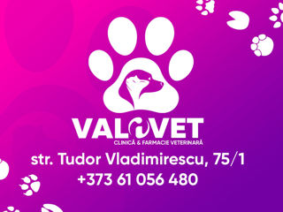 Clinică Farmacie Veterinară "Valivet" foto 3