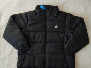 Scurta Adidas Originals