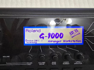 Roland G1000 foto 3