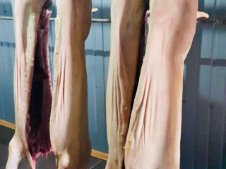 Propunem spre vânzare carne de porc proaspătă și deosebit de delicioasă. foto 5