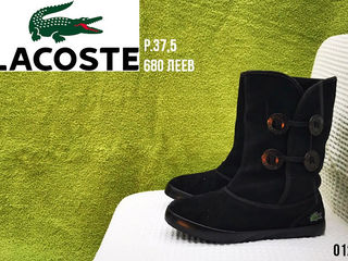 Timberland, Lacoste, Adidas, Nike, Fila, Camper, Ecco. Размер 37. 450-680 леев. foto 4