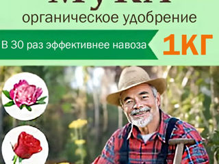 Костная мука. Бесплатная доставка. Viber WhatsApp Telegram. foto 7