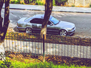 BMW 5 Series foto 7