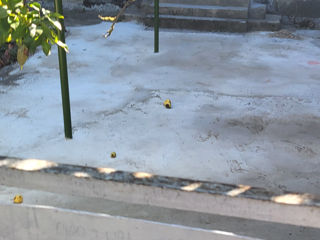 2-rm apt., 52 м², 1/2 fl.