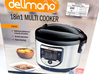 Delimano Multi Cooker 18in1, 650 lei