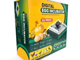 Incubator de ouă Eu Profi G-20 Direct de la Producator !! foto 13