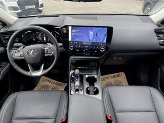 Lexus NX Series foto 10