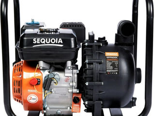 Motopompa Sequoia Spp600C - livrare/achitare in 4rate/agrotop foto 1