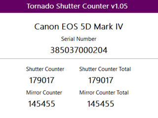 EOS 5D Mark IV - EF 24-70mm f2.8 L II  - Speedlite 600 EX II foto 6