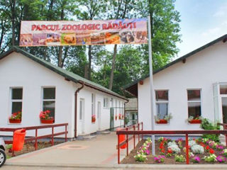 Excursie Weekend la Suceava+Zoo Radauti-19 pers, la comanda foto 2