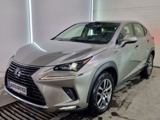 Lexus NX Series