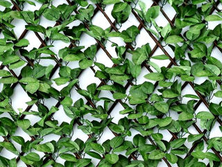 Искусственные зеленые стеновые панели.Panouri de perete verzi artificiale. foto 12